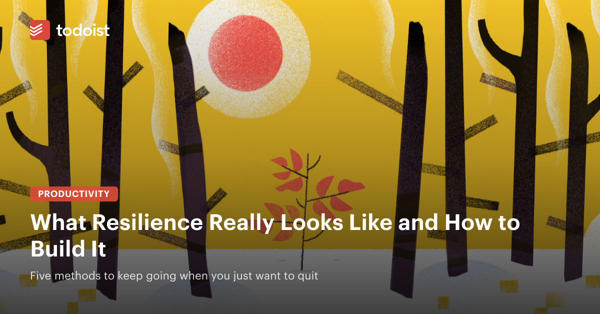 What Resilience Really Looks Like and How to Build It